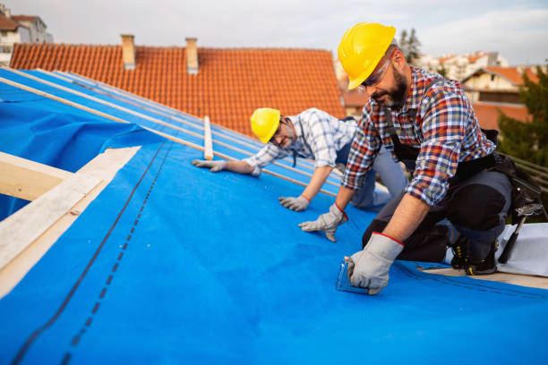 Best Chimney Flashing Repair  in Sparta, GA